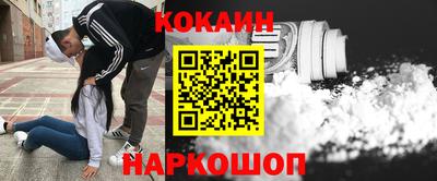 Альфа ПВП Гатчина