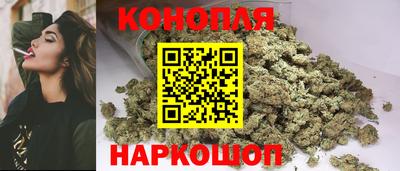 Альфа ПВП Гатчина