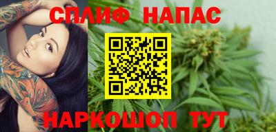 Альфа ПВП Гатчина