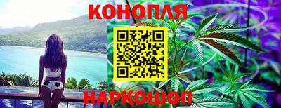 Альфа ПВП Гатчина