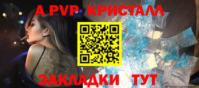 Альфа ПВП Гатчина