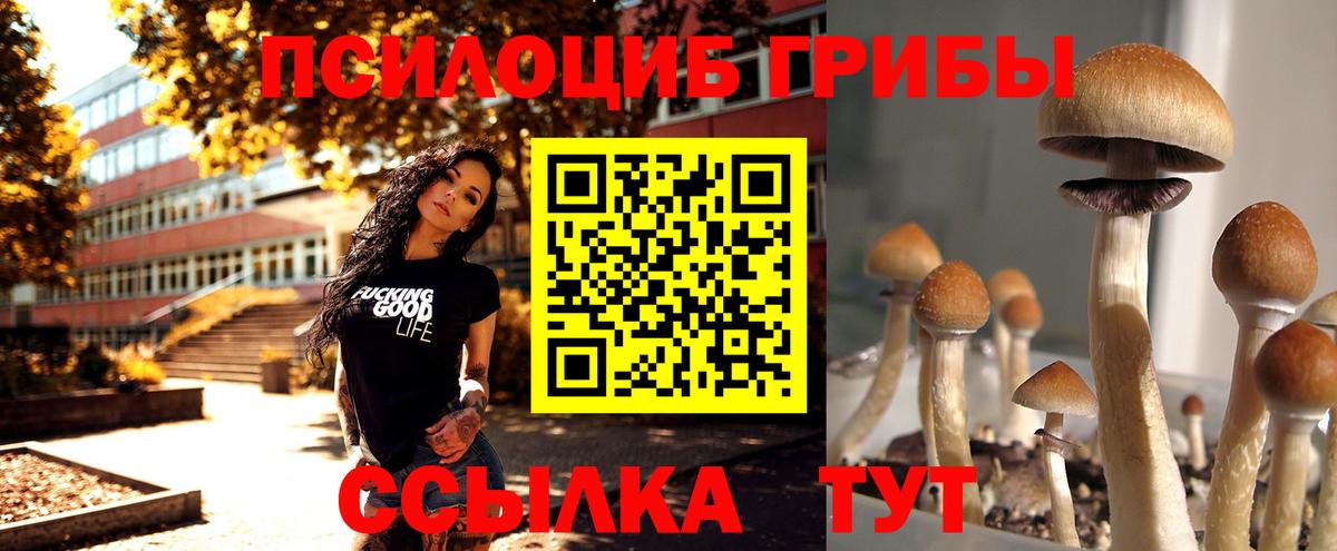 Галлюциногенные грибы GOLDEN TEACHER  Галлюциногенные грибы MAGIC MUSHROOMS  Вход с VPN  Среднеуральск 